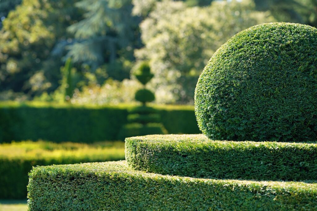 garden, full hd wallpaper, hedge, bush, plants, free wallpaper, nature, to cut, free background, cut, wallpaper hd, shapes, beautiful wallpaper, art, topiary, ball castle, 4k wallpaper, 17th century, louis 13 way, naughty and naughty, cool backgrounds, windows wallpaper, mac wallpaper, brittany, hd wallpaper, desktop backgrounds, 4k wallpaper 1920x1080, wallpaper, laptop wallpaper, desktop picture, wallpaper 4k, hintergrundsbild, yk
